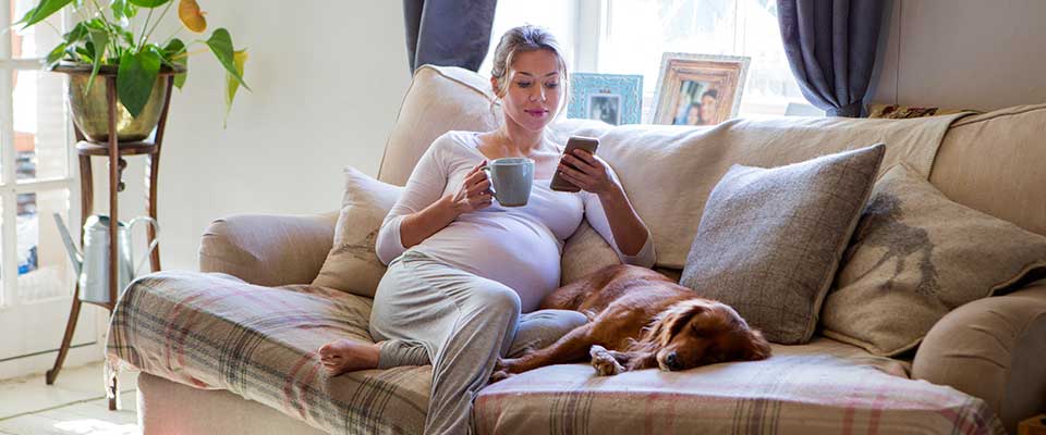 An expecting mother lounges on her couch, drinking caffeine during pregnancy. Her dog lies peacefully beside her.