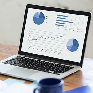 A laptop computer's screen displays several graphs and pie charts that list a family's annual medical expense deductions.