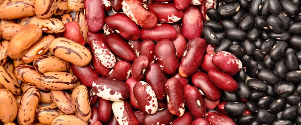 beans and legumes