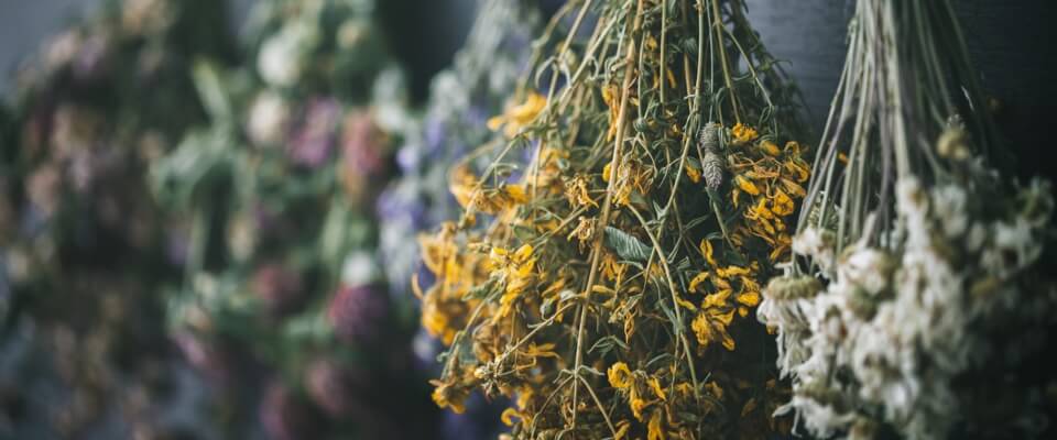 Herbs