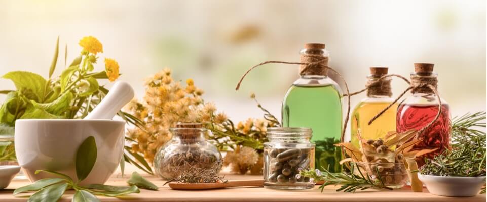 medicinal plants